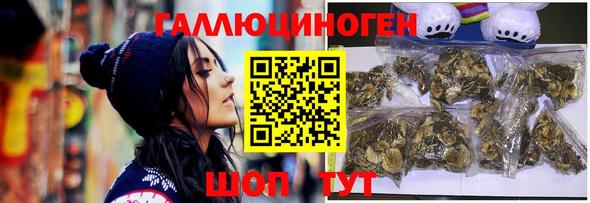 Псилоцибиновые грибы ЛСД  Вход с VPN  наркота  Партизанск  Галлюциногенные грибы Psilocybine cubensis 